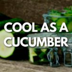 Cool as a cucumber