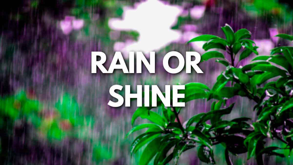 Rain or shine. Rain or Shine идиома. Rain or Shine стих 8 класс.